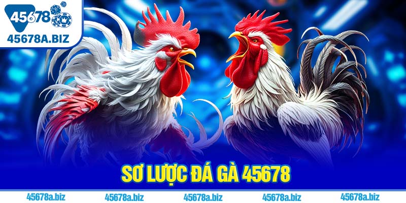 Sơ lược đá gà 45678