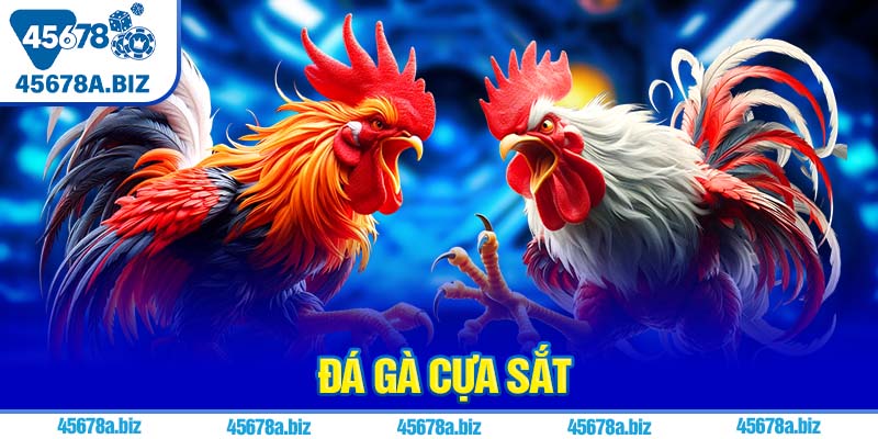 Đá gà cựa sắt
