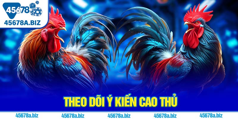 Theo dõi ý kiến cao thủ